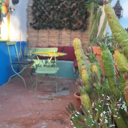 Amazing House Albaycin For 5 Pax Apartment *